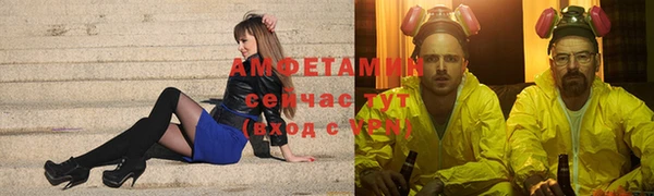 шишки Новокубанск