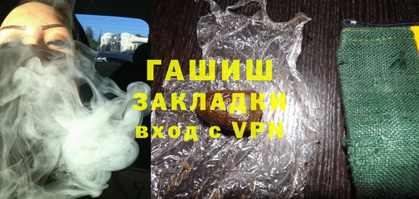 индика Новодвинск