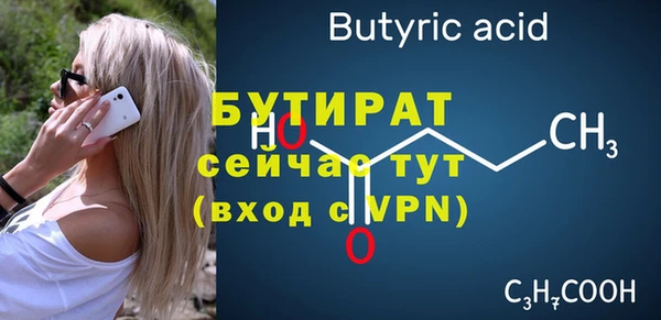 индика Новодвинск