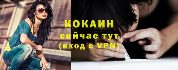 прущий лед Новозыбков