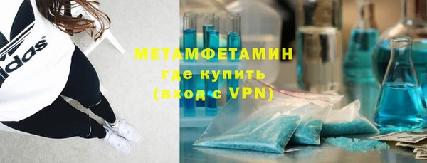 шишки Новокубанск