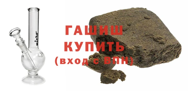 индика Новодвинск