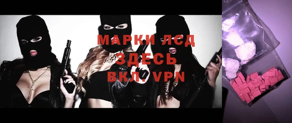 индика Новодвинск