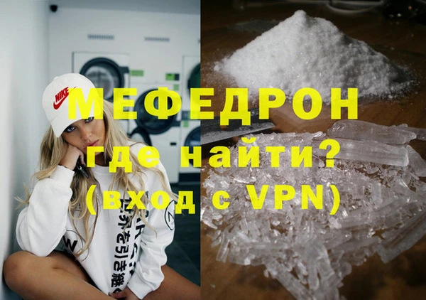 индика Новодвинск