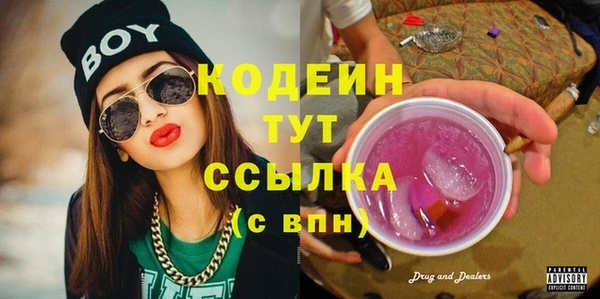 индика Новодвинск