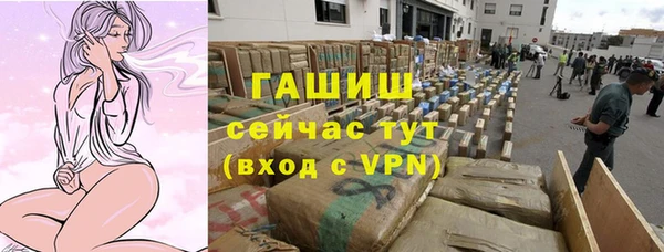 прущий лед Новозыбков
