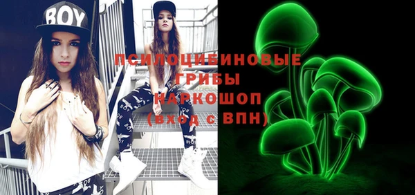 индика Новодвинск