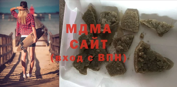 индика Новодвинск