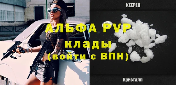 прущий лед Новозыбков