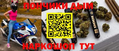 крисы Абакан