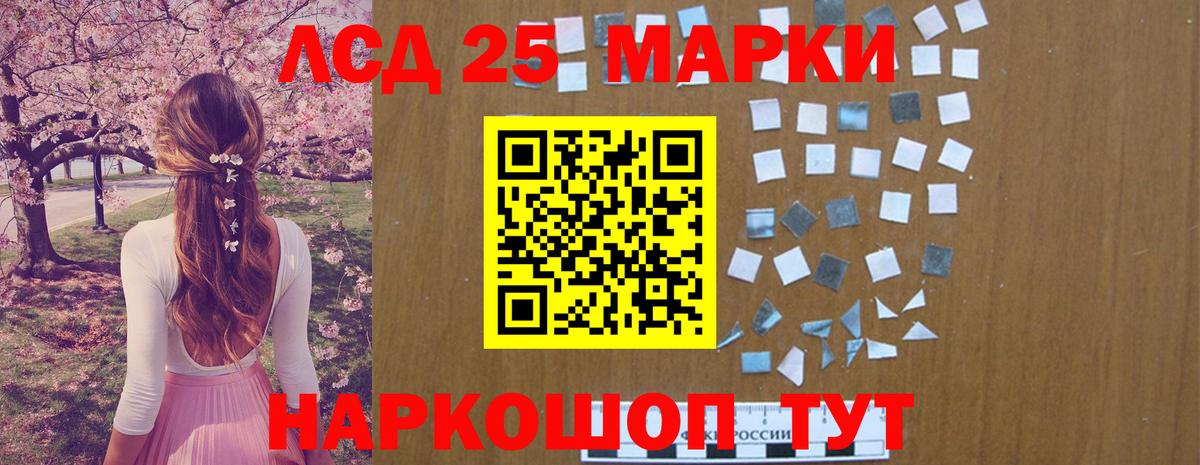 МЕФ Старая Купавна