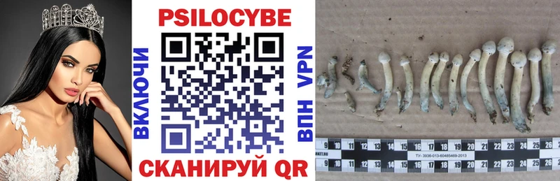 Псилоцибиновые грибы прущие грибы  наркотики  Старая Купавна 