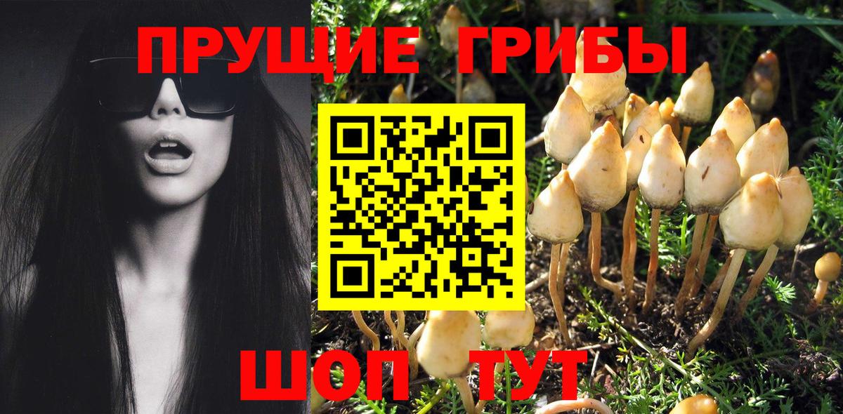 Псилоцибиновые грибы ЛСД  Вход с VPN  Старая Купавна 