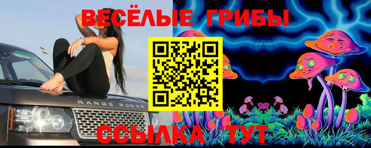 Галлюциногенные грибы GOLDEN TEACHER Старая Купавна